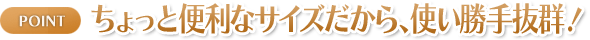 ポイント:ちょっと便利なサイズだから、使い勝手抜群!